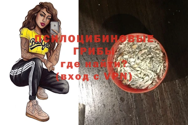 не бодяженный Арсеньев