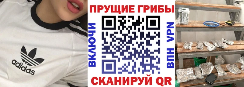 Псилоцибиновые грибы мухоморы  mega онион  Солигалич 